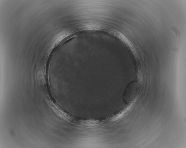 X0000111800930200908061155