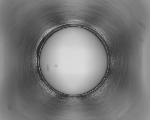 X0000111800931200908061155