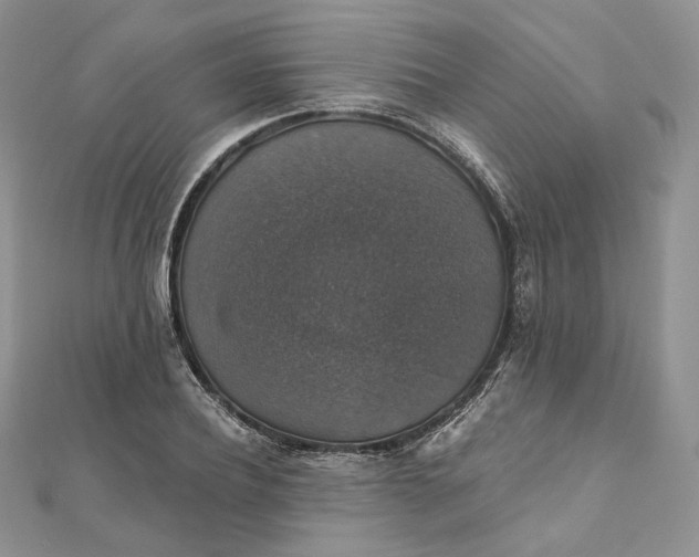 X0000111800932200908061155