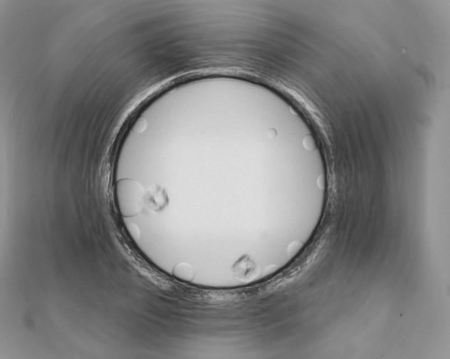 X0000111800933200908061155