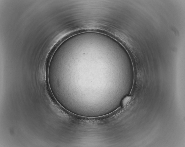 X0000111800934200908061155