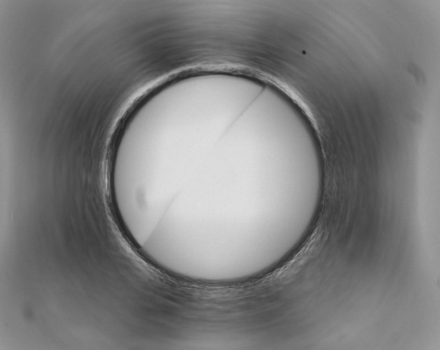 X0000111800935200908061155