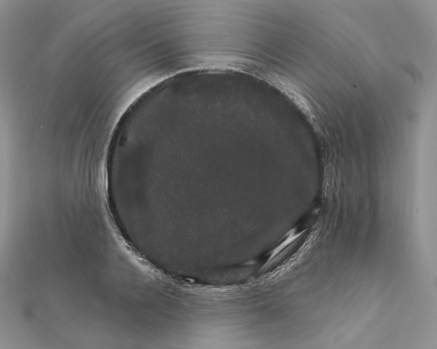 X0000111800936200908061155