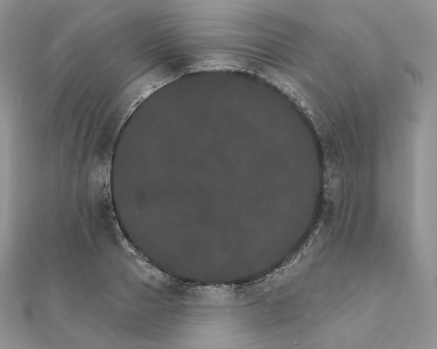 X0000111800937200908061155