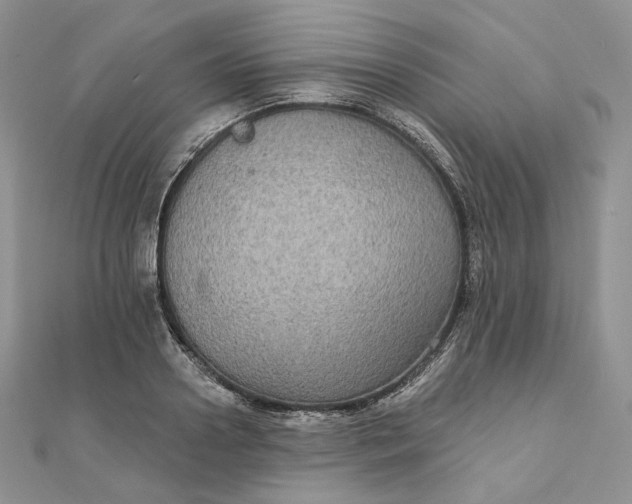 X0000111800938200908061155