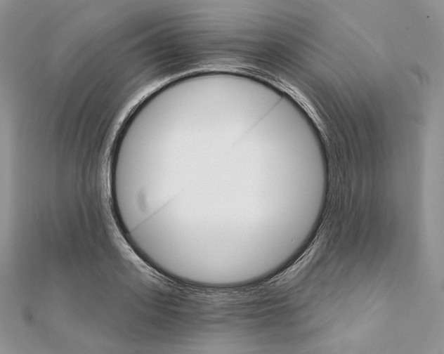 X0000111800939200908061155