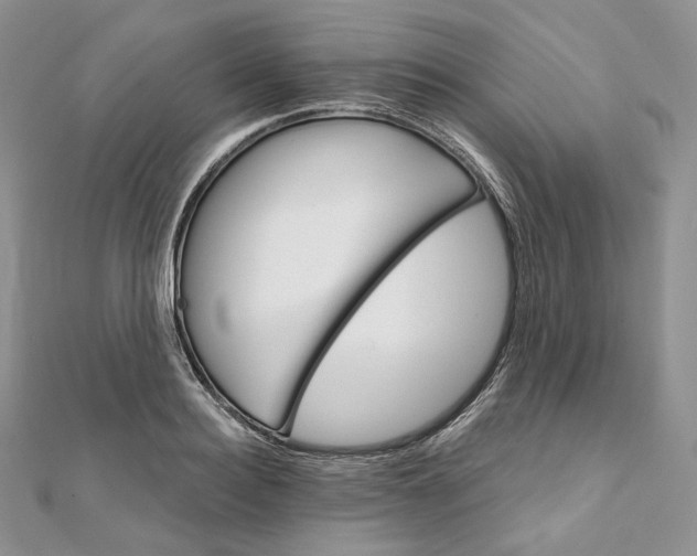 X0000111800940200908061155