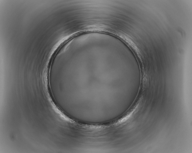 X0000111800941200908061155