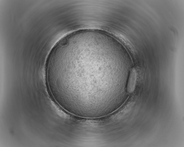 X0000111800942200908061155