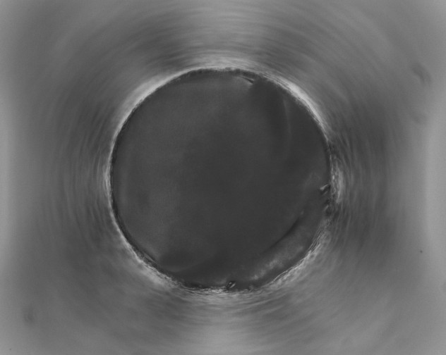 X0000111800943200908061155