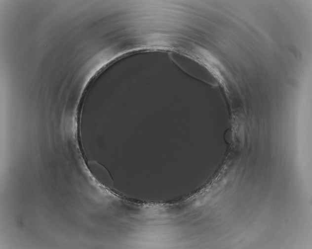 X0000111800944200908061155