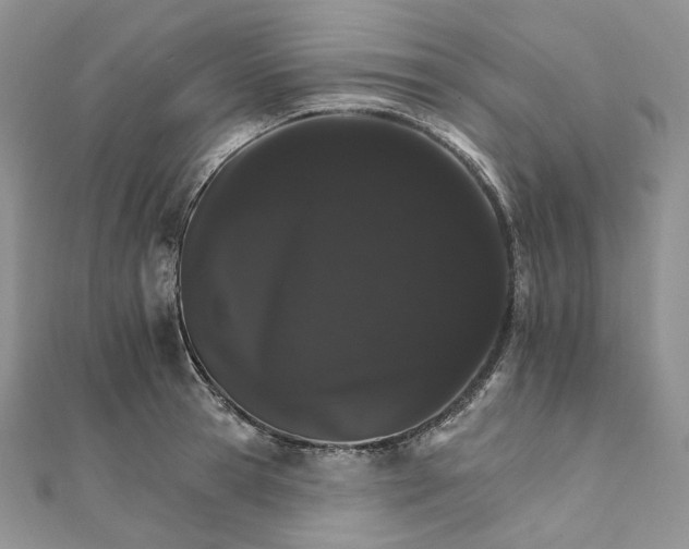 X0000111800945200908061155