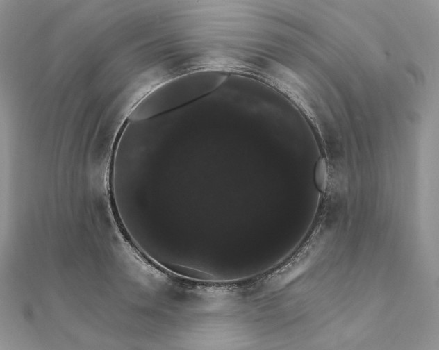 X0000111800946200908061155