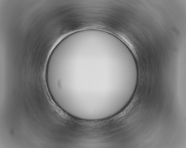 X0000111800948200908061155