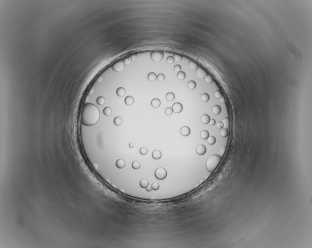 X0000111800949200908061155