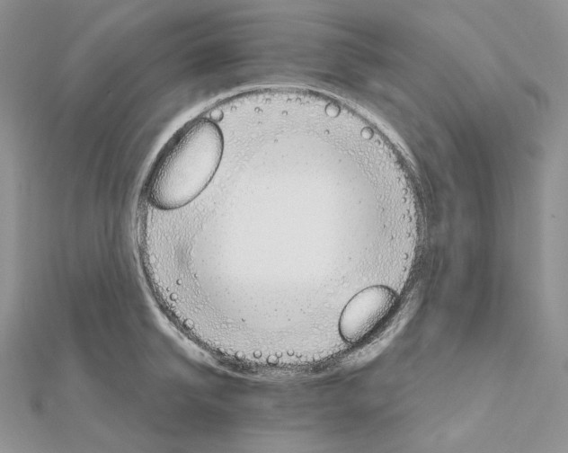 X0000111800950200908061155