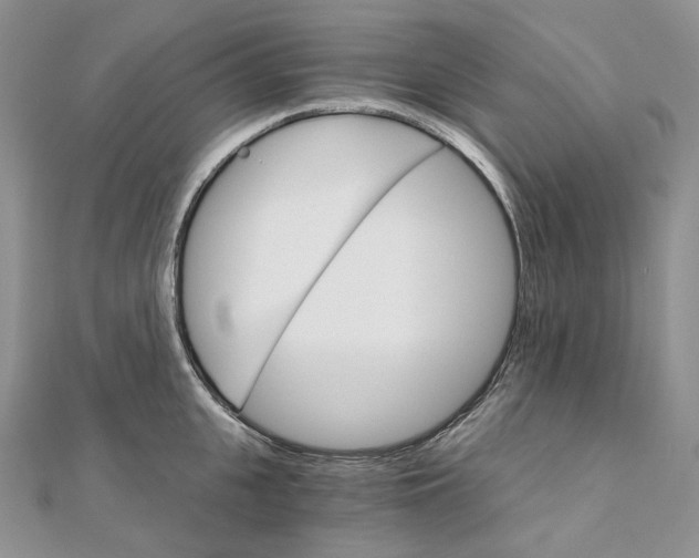 X0000111800951200908061155