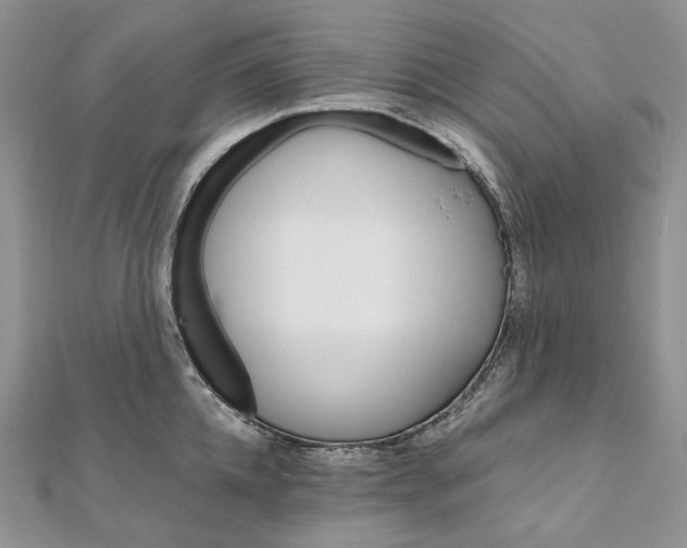 X0000111800952200908061155