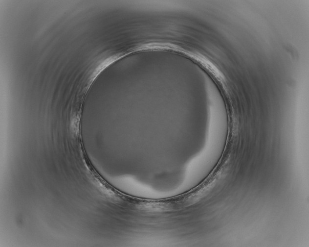 X0000111800953200908061155