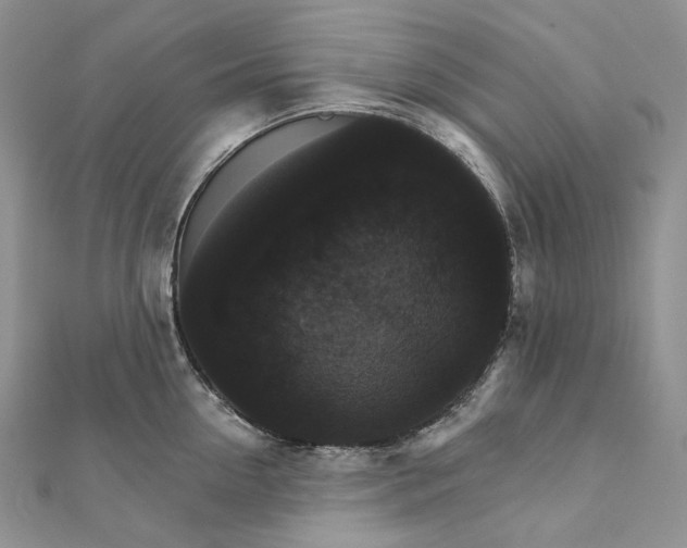 X0000111800954200908061155