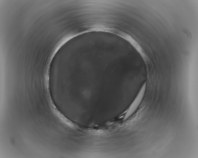 X0000111800955200908061155