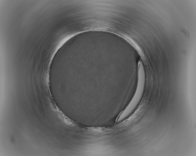 X0000111800956200908061155