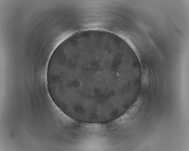 X0000111800957200908061155