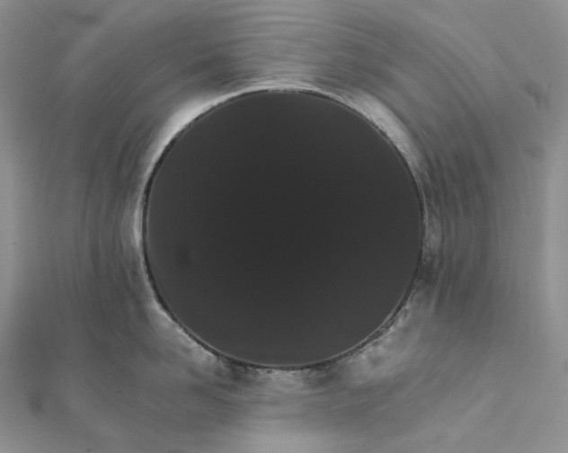 X0000111800958200908061155