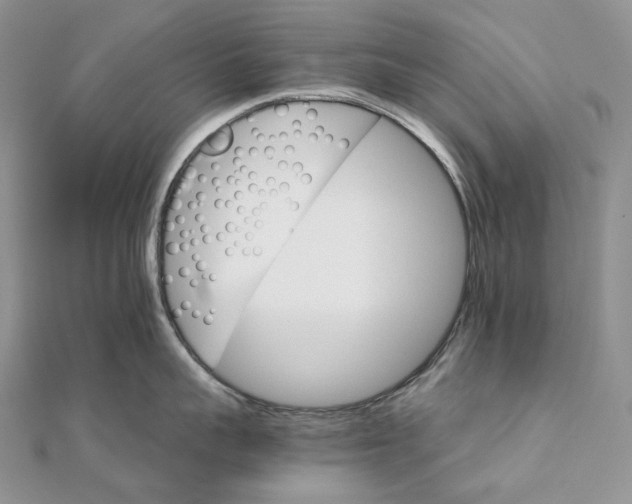 X0000111800959200908061155