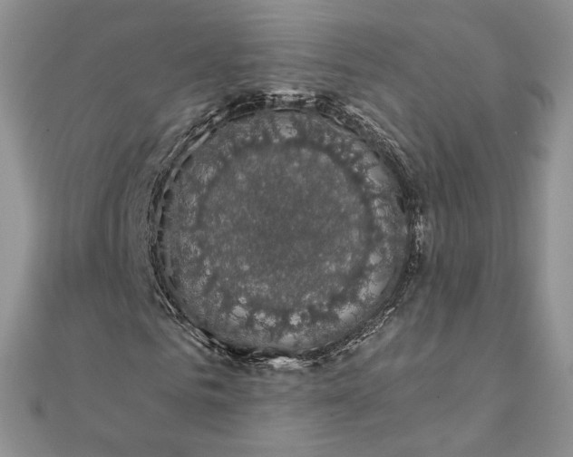 X0000111800961200908061155