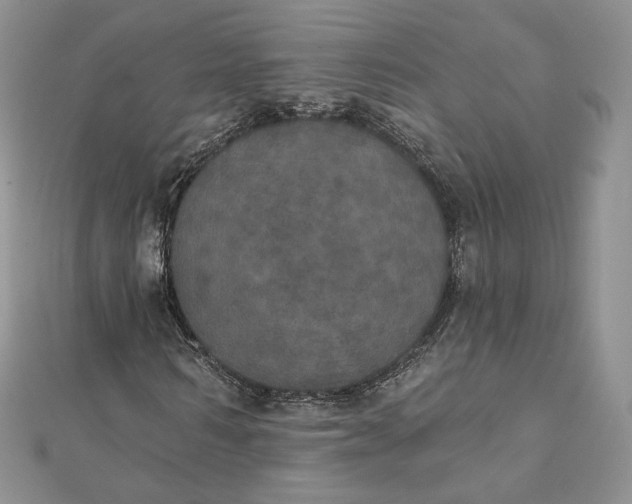 X0000111800962200908061155