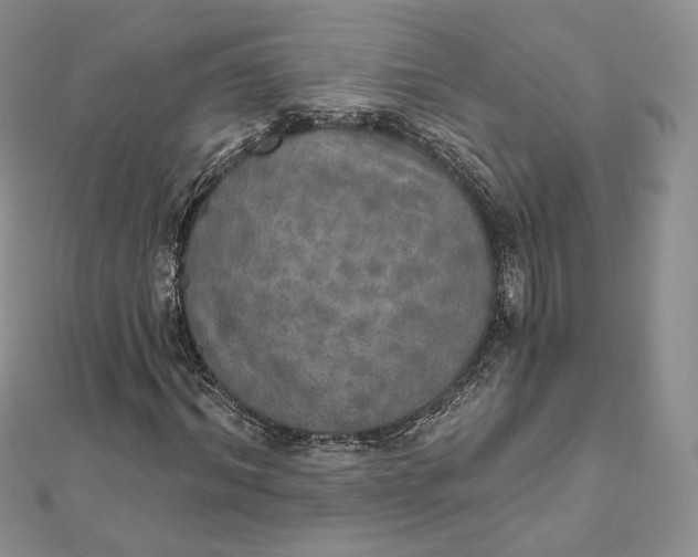 X0000111800964200908061155