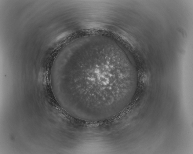 X0000111800965200908061155