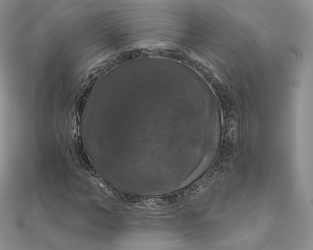 X0000111800966200908061155