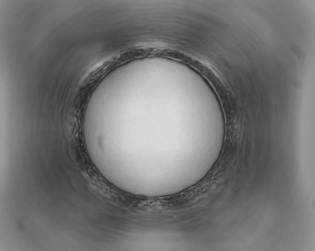 X0000111800967200908061155