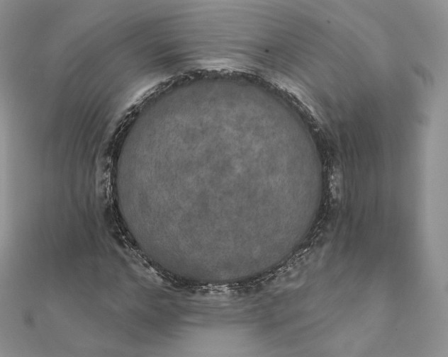 X0000111800968200908061155