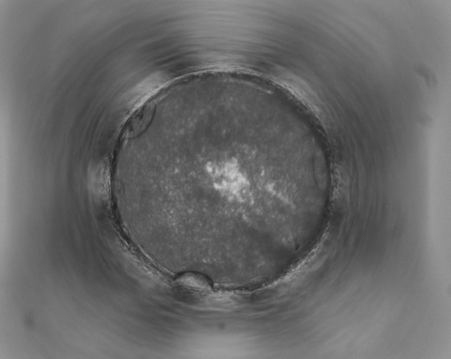 X0000111800969200908061155