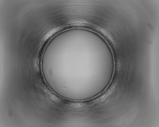 X0000111800970200908061155