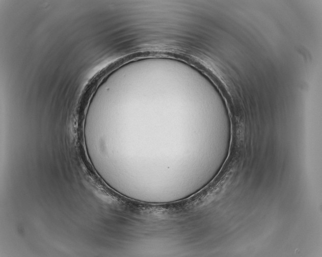 X0000111800971200908061155