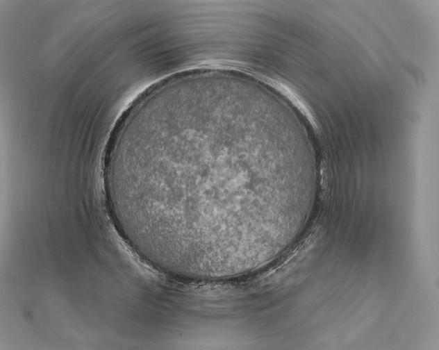 X0000111800972200908061155