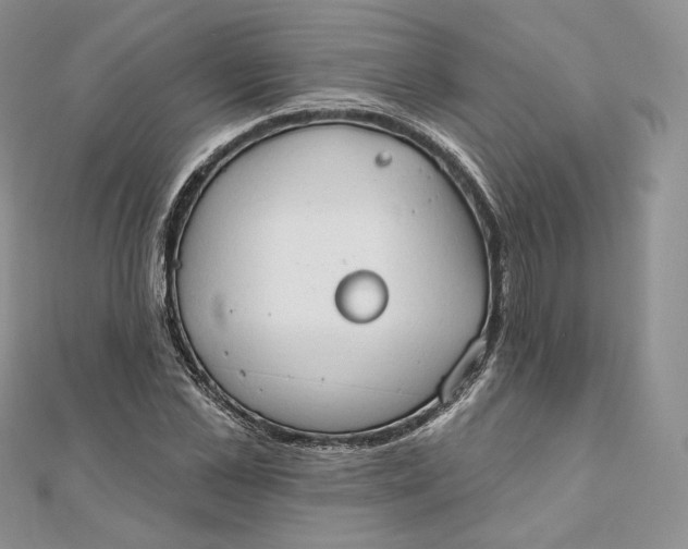 X0000111800973200908061155