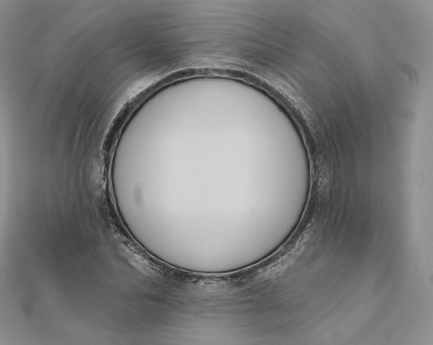 X0000111800974200908061155