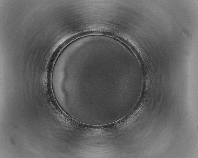 X0000111800975200908061155