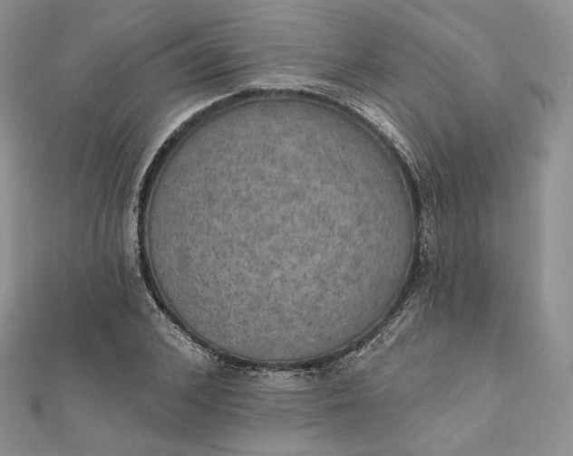 X0000111800976200908061155