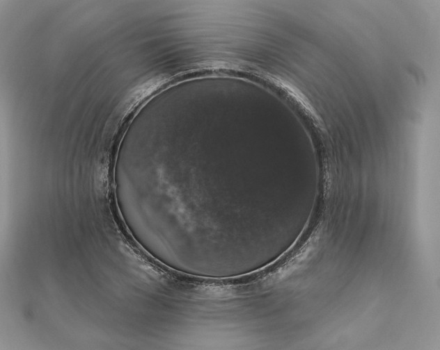 X0000111800977200908061154