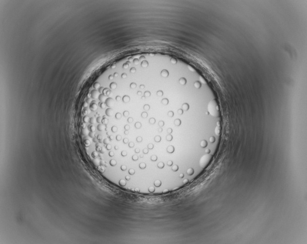 X0000111800978200908061154