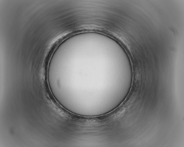 X0000111800979200908061154