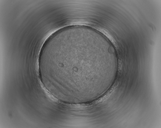 X0000111800980200908061154