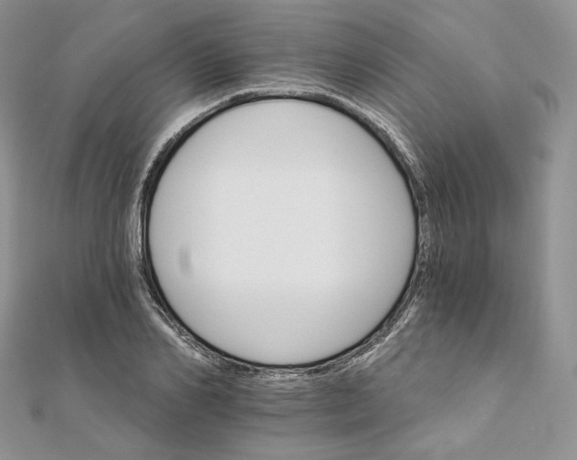 X0000111800982200908061154