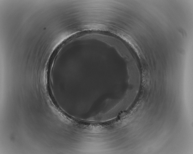 X0000111800983200908061154